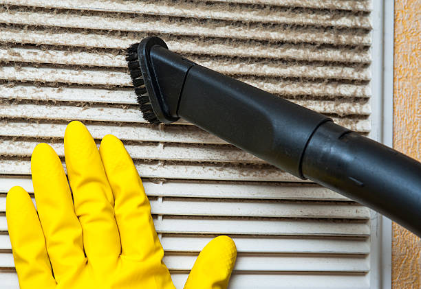 Best Dryer Vent Cleaning Services  in Xenia, OH